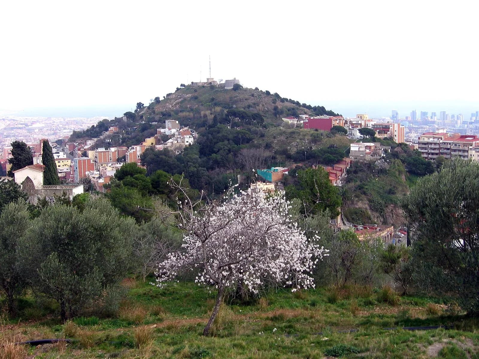 Búnkers del Carmel (Turó de la Rovira)